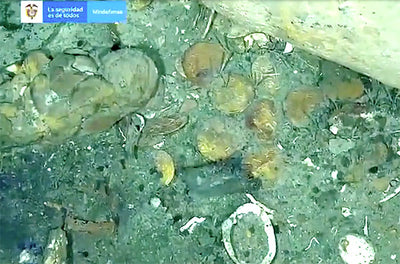 Colombian Army Releases Video of Treasure Strewn From San José Shipwreck