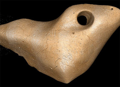 Giant Sloth Bone Jewelry Helps Rewrite History of the 'Peopling' of the Americas
