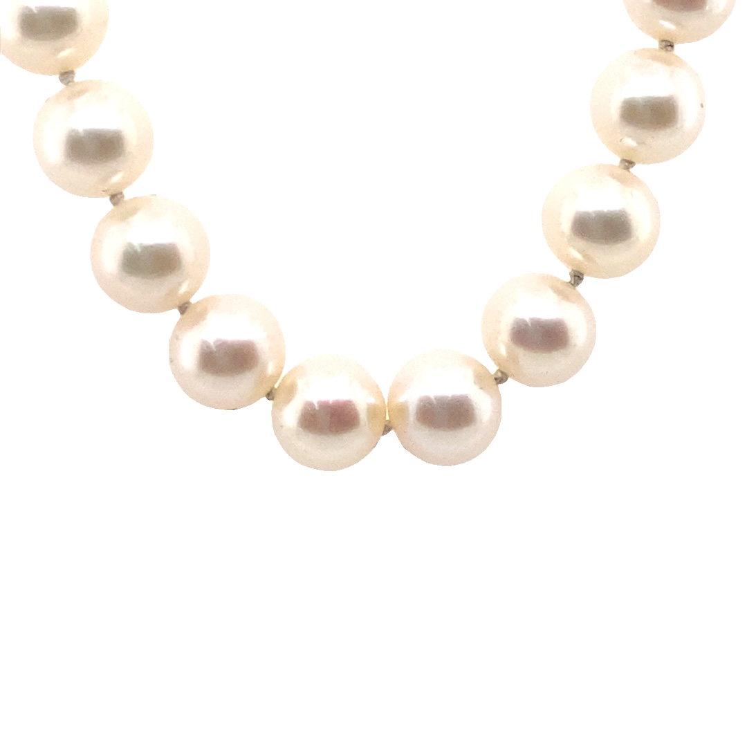 Beeghly & Co. 14 Karat White Gold Pearl Necklace FW 7.5-8