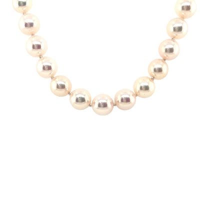 Akoya Pearl Necklace in Yellow GOld by B&C