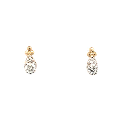 Diamond Stud Earrings in 14K Yellow Gold by Gabriel & Co.