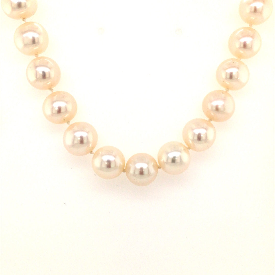 14 Karat Yellow Gold Freshwater Pearl Necklace M7958