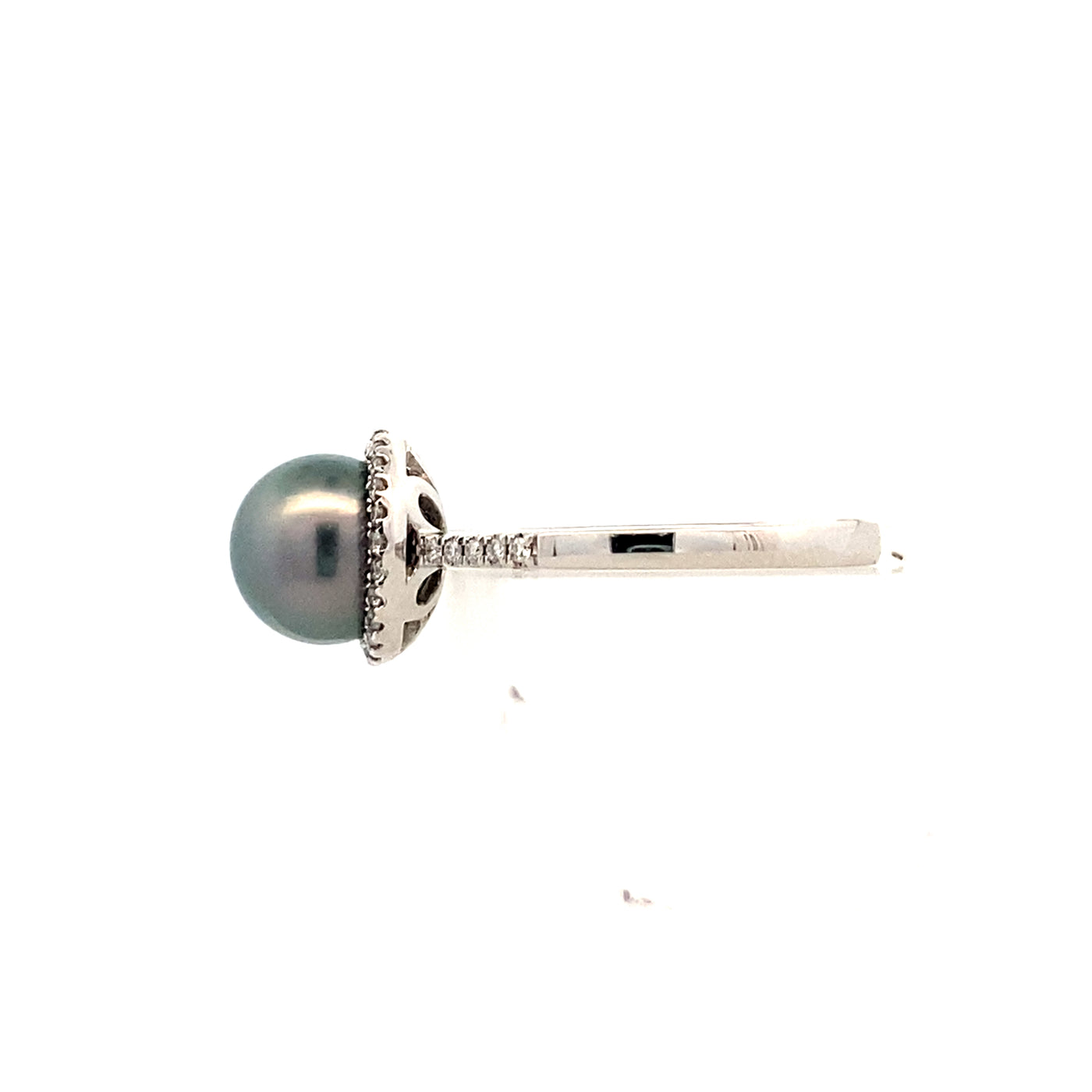 Tahitian Pearl Halo Ring in White Gold by Imperial Pearl