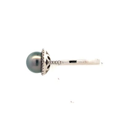 Tahitian Pearl Halo Ring in White Gold by Imperial Pearl