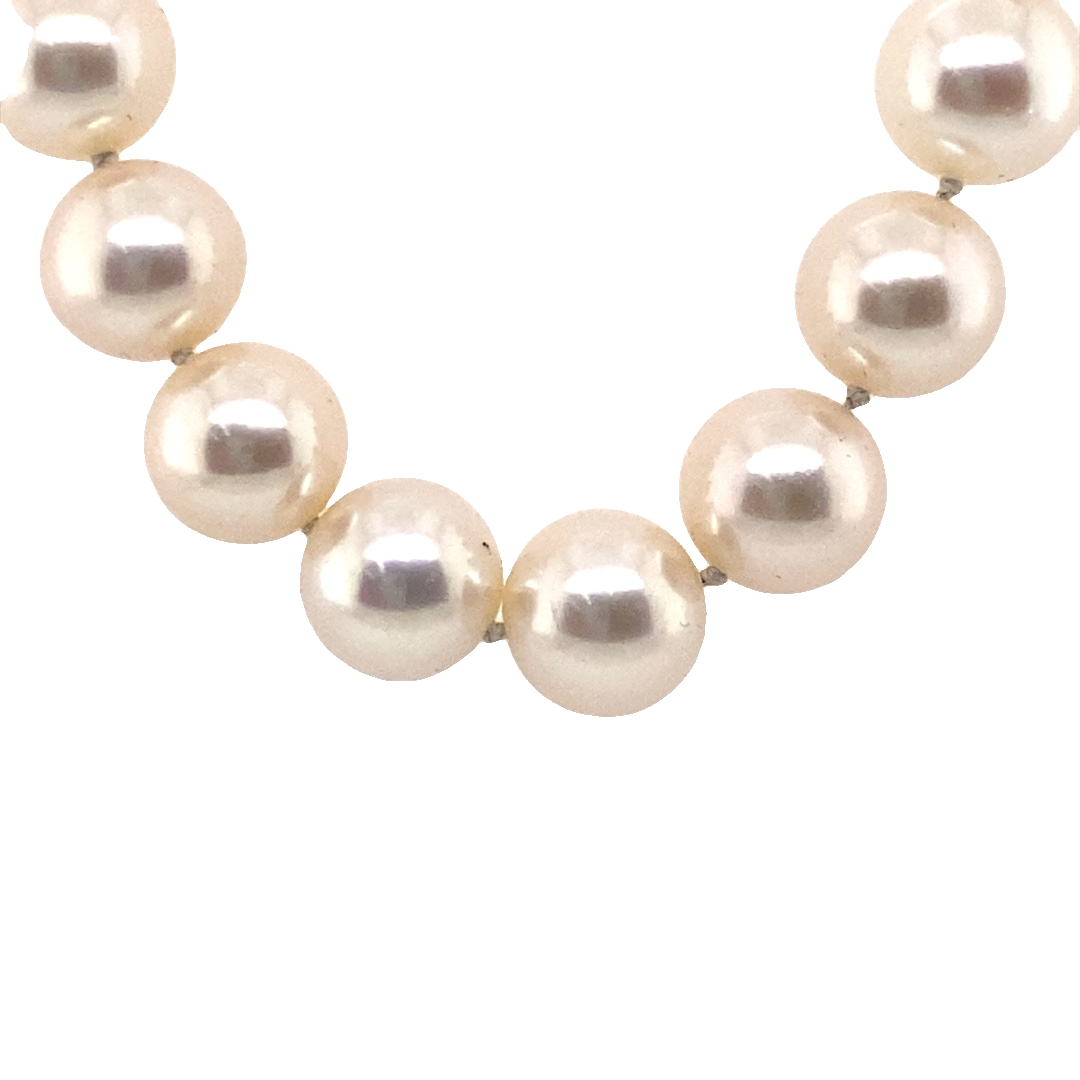 Beeghly & Co. 14 Karat White Gold Freshwater Pearl Necklace FW 8.5-9mm