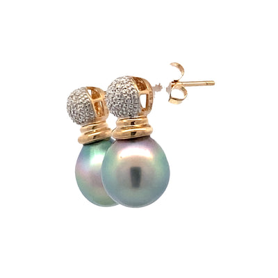 ESTATE Tahitian Pearl and Diamond Earrings in Yellow Gold