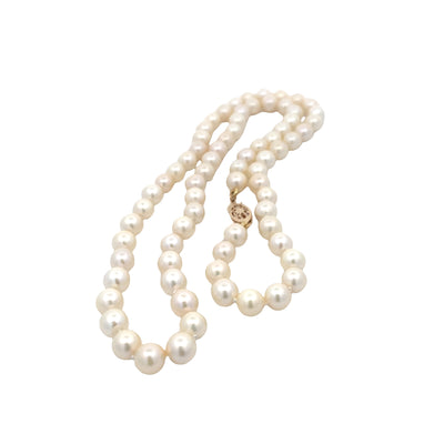 ESTATE 19" Strand Cultured Pearls in Yellow Gold